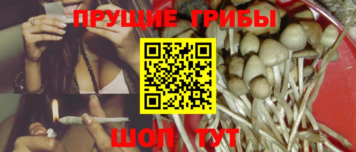Галлюциногенные грибы прущие грибы Большой Камень